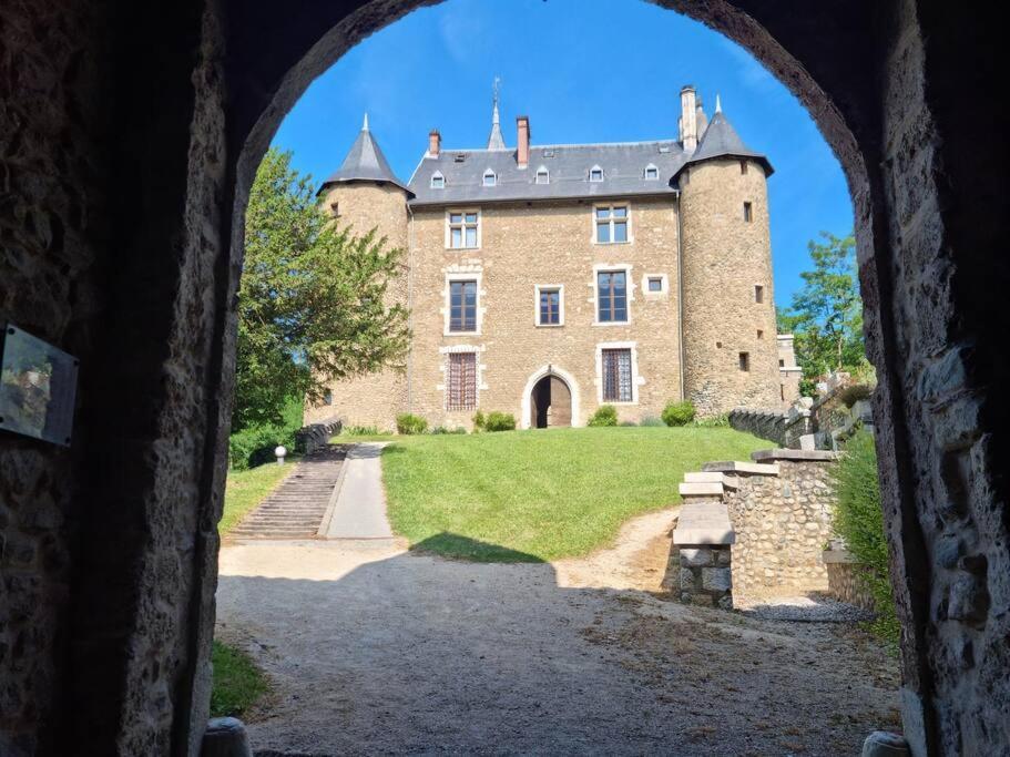 Chateau D'Uriage - Duplex Avec Terrasse Privative Saint-Martin-dʼUriage Zewnętrze zdjęcie
